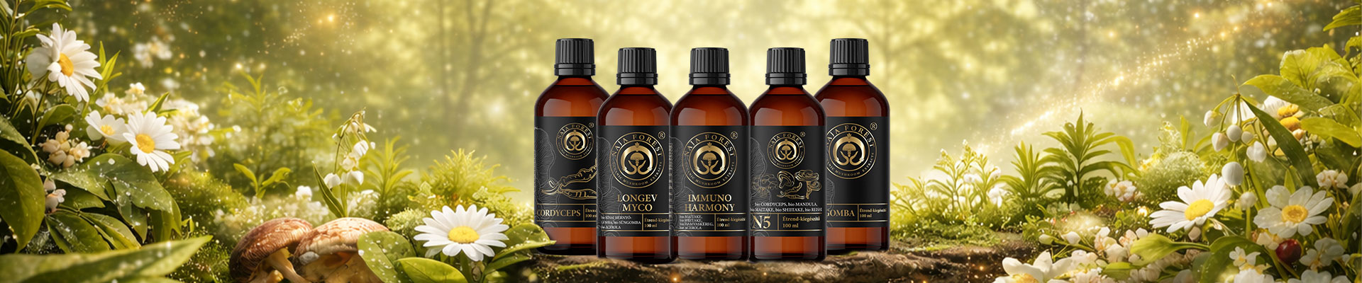 Főoldal ÚJ 7 Tavasznyito akcio