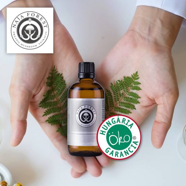 N1 bio Maitake, bio Mandula gyógygomba kivonat