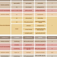 Cukorbetegség vs. gyógygombák | Cukorbetegség | dr. Tihanyi