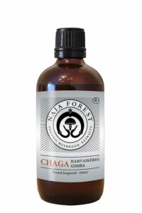 Naja Forest bio Chaga gomba