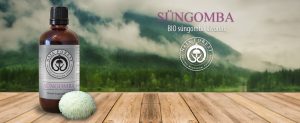 Naja Forest bio Süngomba Étrend-kiegészítő