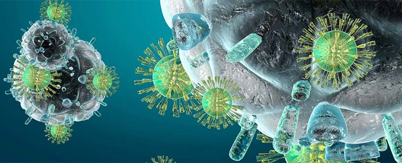 vírusok kapcsolódása sejtekhez
