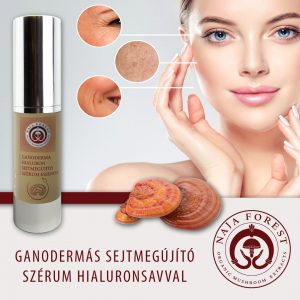 hpv kúra gomba kivonat