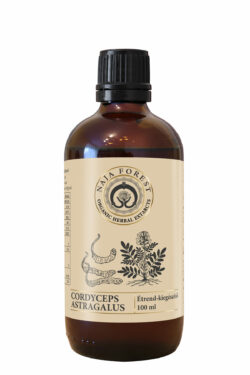 Naja Forest Cordyceps-Astragalus Étrend-kiegészítő (100 ml)