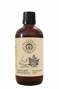 OH magyar cordyceps astragalus NajaForest 100ml 2025