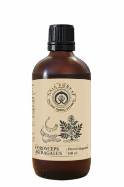 Naja Forest Cordyceps-Astragalus Étrend-kiegészítő (100 ml)