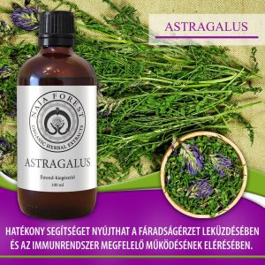 Organic Herbal Astragalus