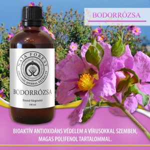 Organic Herbal Bodorrózsa