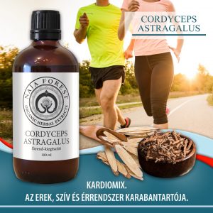 Organic Herbal Cordyceps - Astragalus