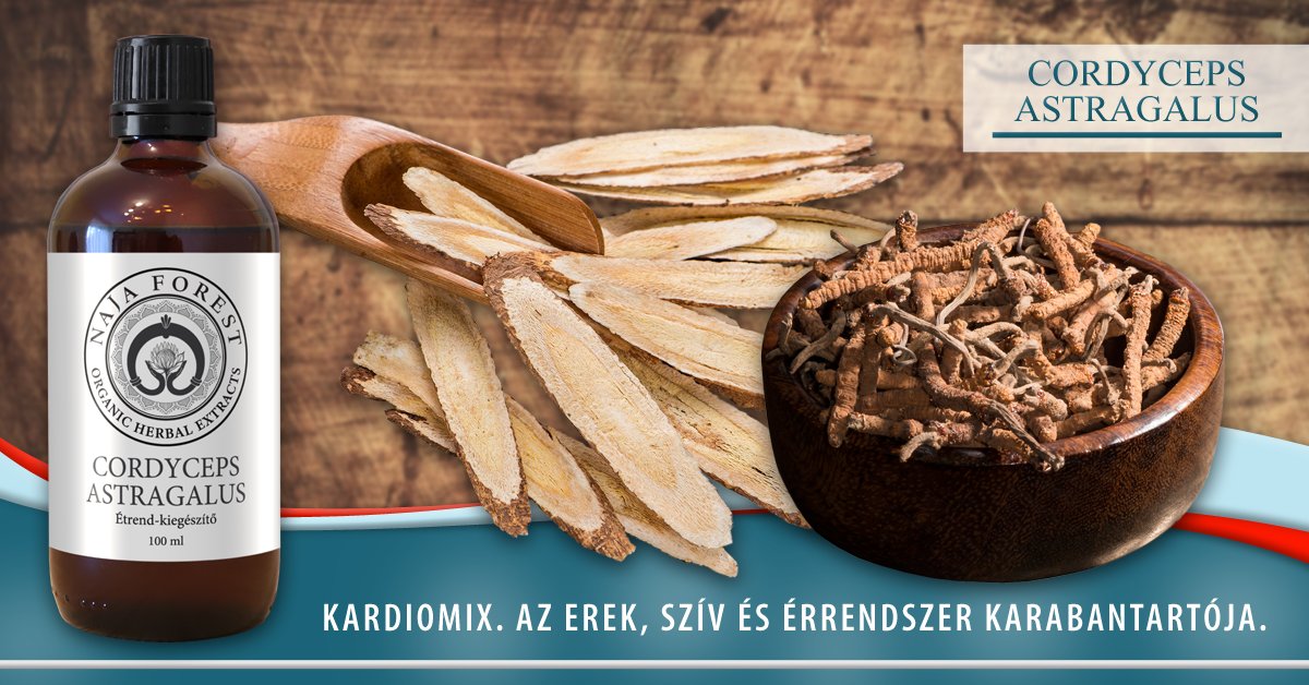 Organic Herbal Cordy - Astragalus