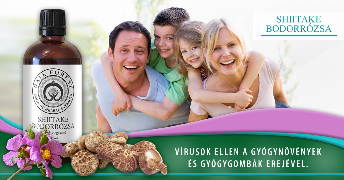 Bio Shiitake gomba őrleménye 30g