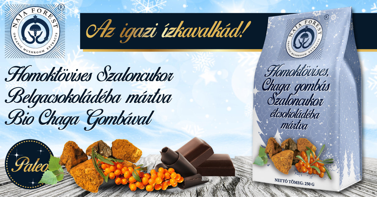 Naja Forest Paleo Szaloncukor belgacsokoládéba mártva bio chaga gombával és homoktövissel