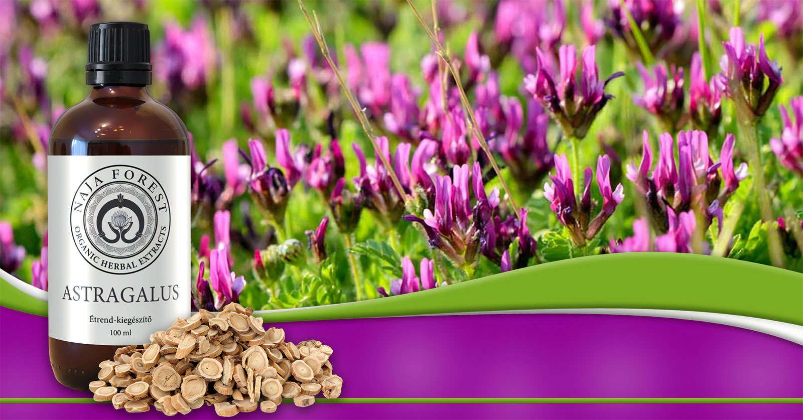 Organic Herbal Astragalus