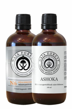 Hormonegyensúly: Ashoka (100 ml) + N6 (100 ml)