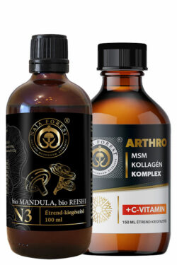 Naja Forest ízület támogató csomag: 1 db N3 bio Mandula, bio Reishi Étrend-kiegészítő (100ml) és 1db Arthro MSM Kollagén Complex (150ml)