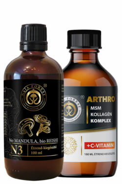 Naja Forest ízület támogató csomag: 1 db N3 bio Mandula, bio Reishi Étrend-kiegészítő (100ml) és 1db Arthro MSM Kollagén Complex (150ml)