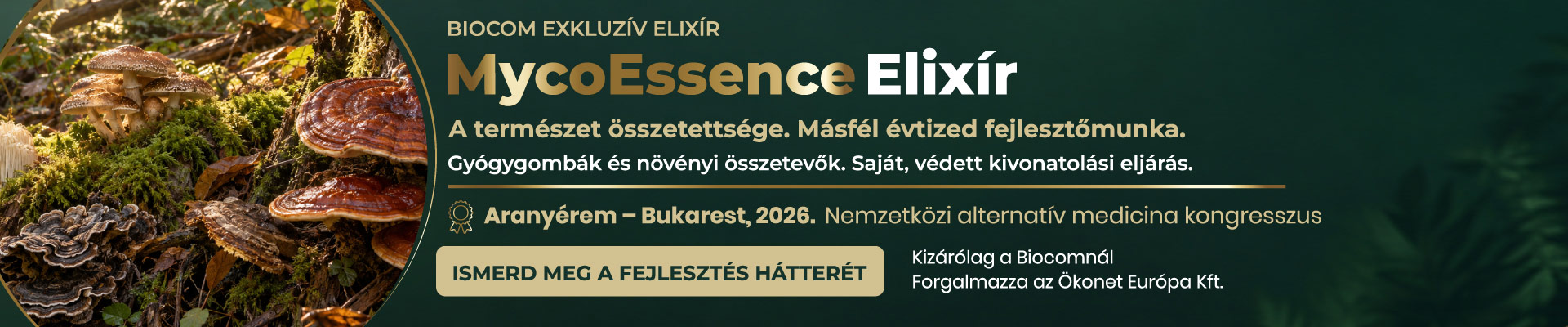 Naja Forest N7